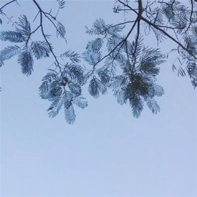 守望前线手游